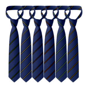 The Kingsway School Tie
