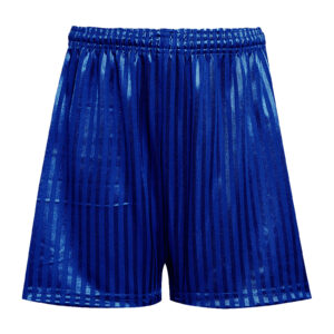Shadow Stripe Shorts - Royal Blue