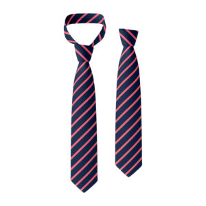 St Ambrose RC Primary School Tie