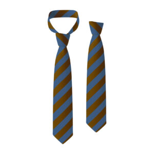 Cheadle Catholic Junior School Tie