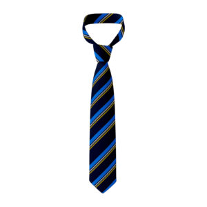 St Anne's RC Voluntary Academy Tie